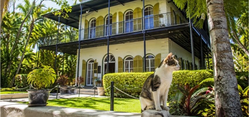 Historic home with a six-toed cat, a classic stop among things to do in key west for couples.