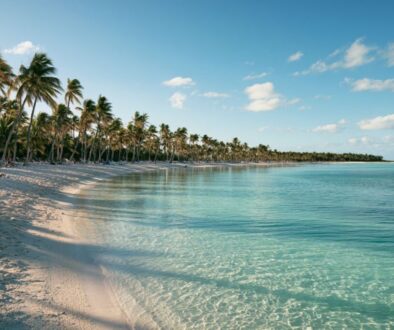 Palm-lined white sand beach with turquoise waters, a top contender for the warmest place in Florida.